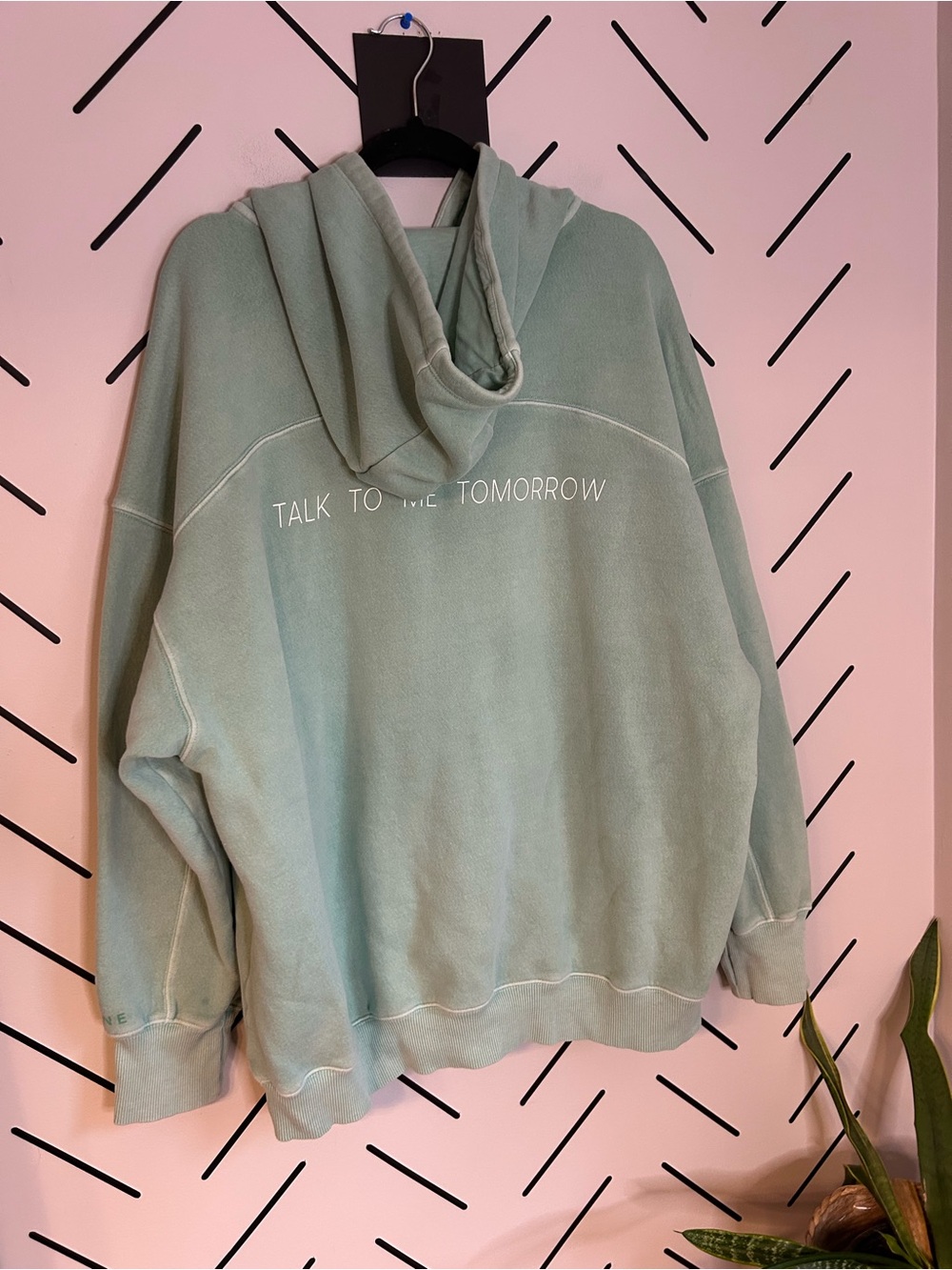 Aerie mint green talk to me tomorrow print oversized hoodie soft